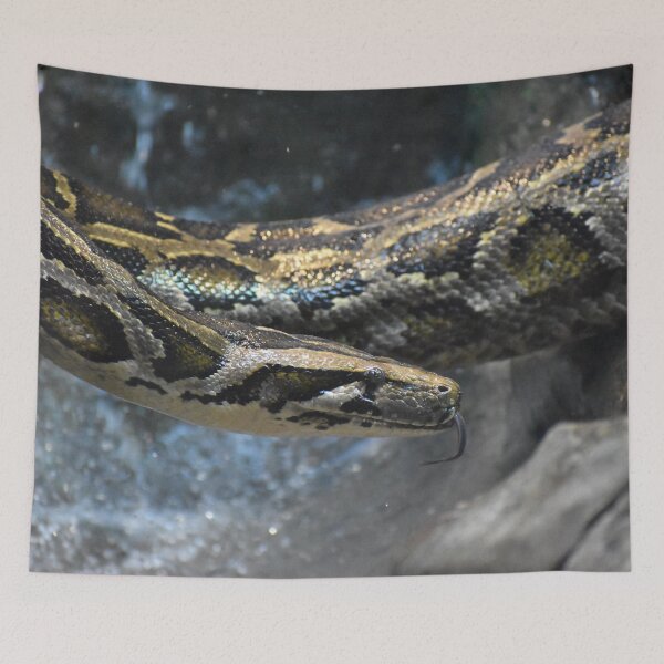 Item preview, Snake designed and sold by megjayne-photos.