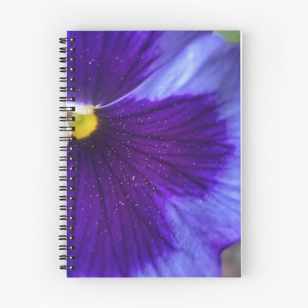 Item preview, Viola designed and sold by Jason Tompkins.
