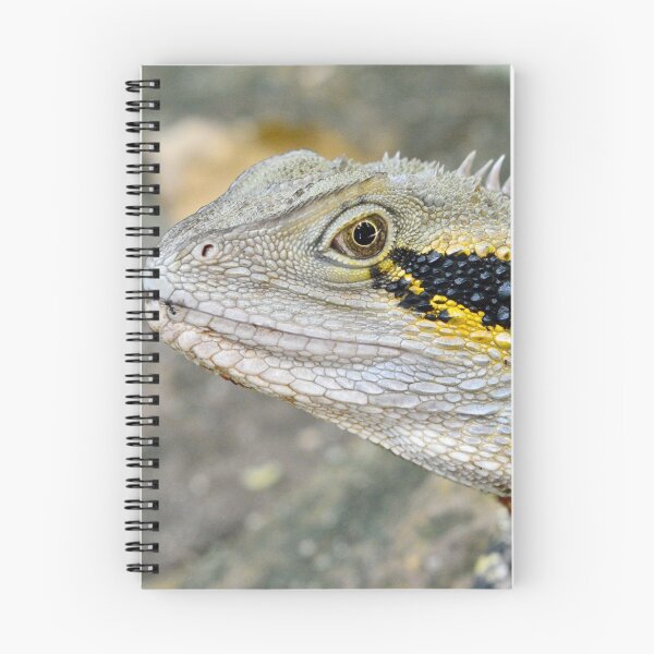 Item preview, Australian water dragon designed and sold by AlizadaStudios.