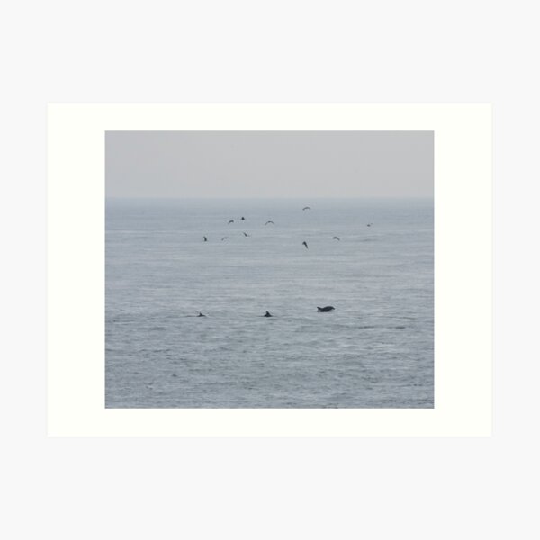 Dolphins near the British Isles Art Print