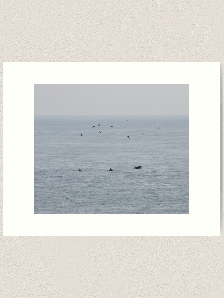 Alternate view of Dolphins near the British Isles Art Print