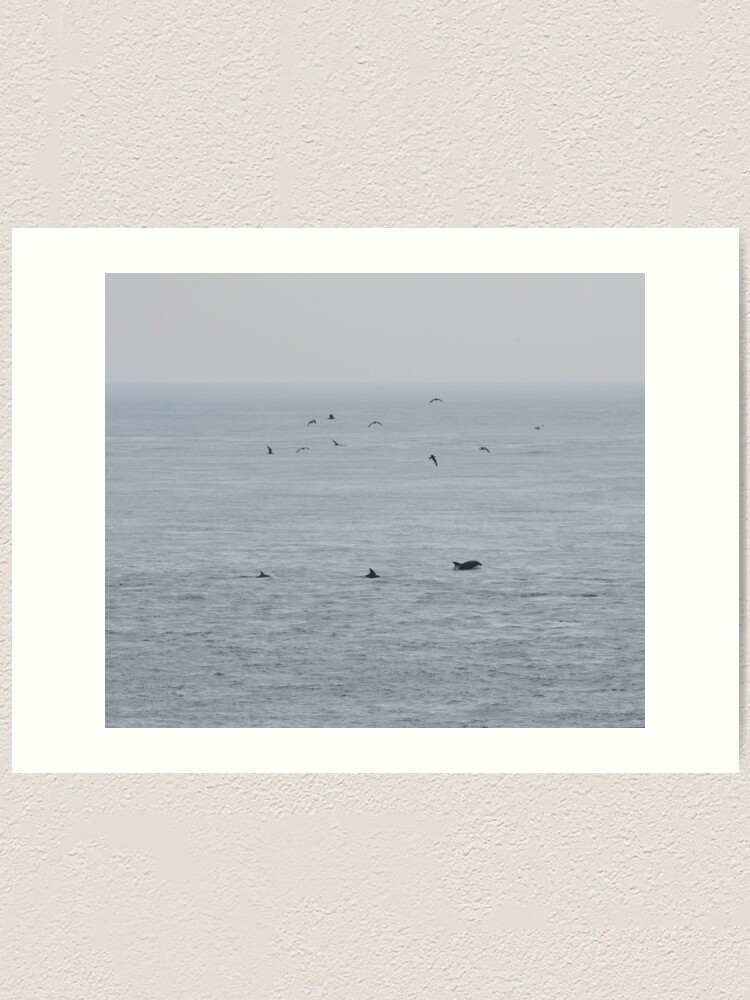 Alternate view of Dolphins near the British Isles Art Print