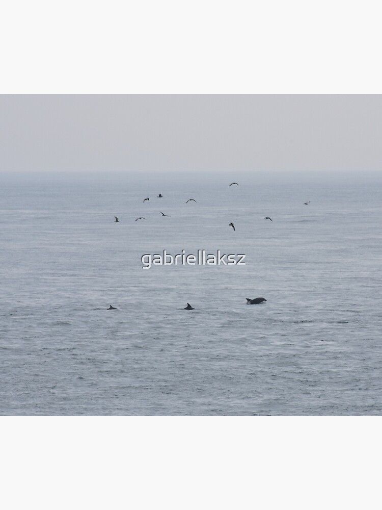 Dolphins near the British Isles by gabriellaksz