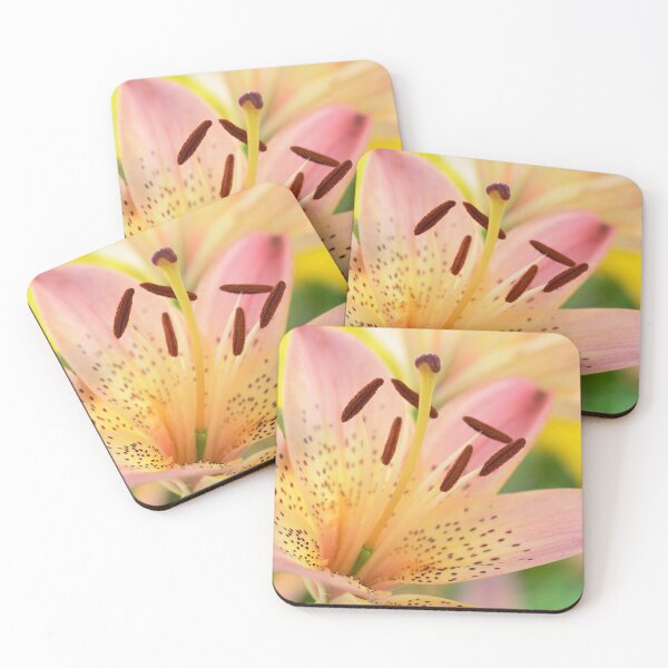 Item preview, Lilium  'Pink Pixie'  Dwarf Asiatic lily  designed and sold by Chris Burrows.