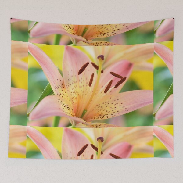 Item preview, Lilium  'Pink Pixie'  Dwarf Asiatic lily  designed and sold by Chris Burrows.