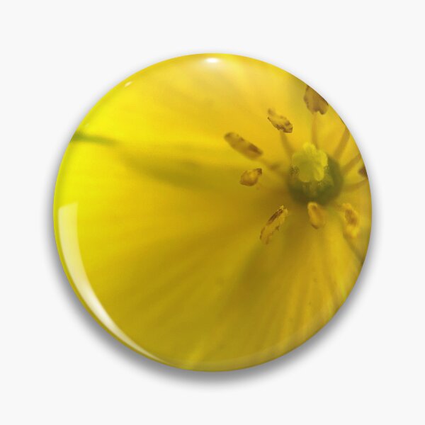 Item preview, Indian Mallow designed and sold by Jason Tompkins.