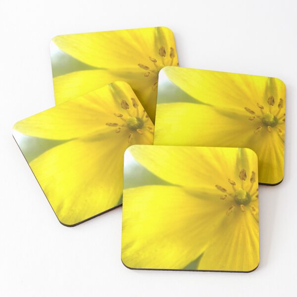 Item preview, Indian Mallow designed and sold by Jason Tompkins.
