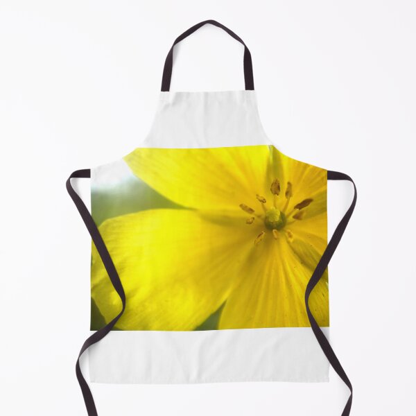 Item preview, Indian Mallow designed and sold by Jason Tompkins.