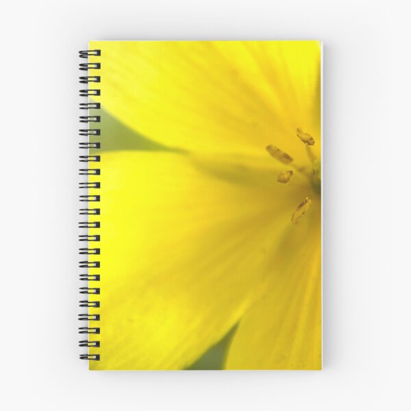 Item preview, Indian Mallow designed and sold by Jason Tompkins.