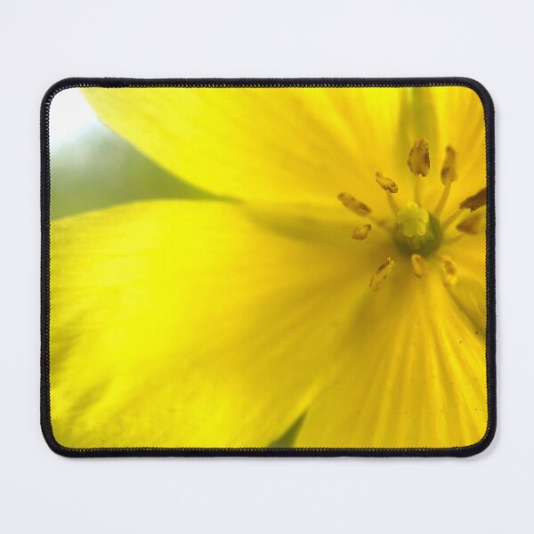Item preview, Indian Mallow designed and sold by Jason Tompkins.