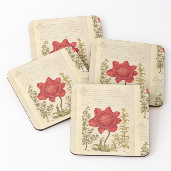 Item preview, Framed Old Book with Red Flower Made in the 1800s designed and sold by kylmllr101684.