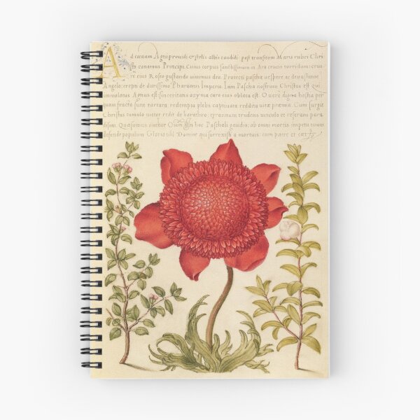 Item preview, Framed Old Book with Red Flower Made in the 1800s designed and sold by kylmllr101684.