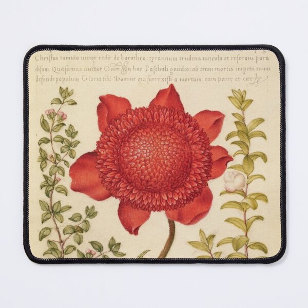 Item preview, Framed Old Book with Red Flower Made in the 1800s designed and sold by kylmllr101684.
