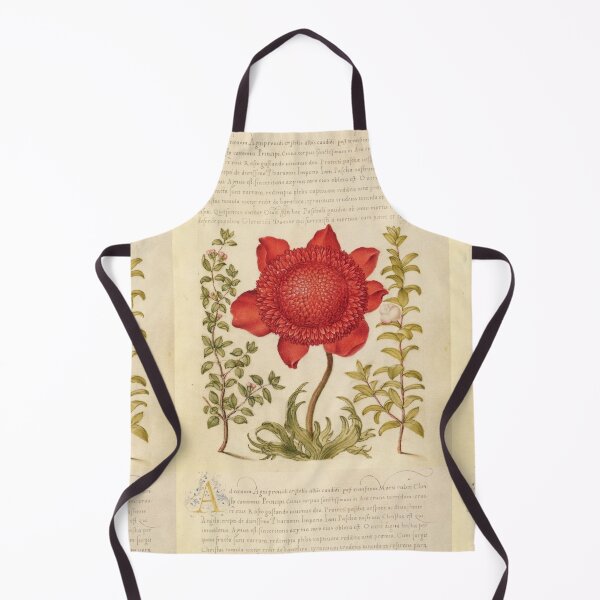 Item preview, Framed Old Book with Red Flower Made in the 1800s designed and sold by kylmllr101684.