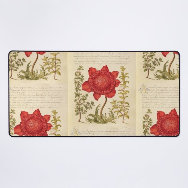 Item preview, Framed Old Book with Red Flower Made in the 1800s designed and sold by kylmllr101684.