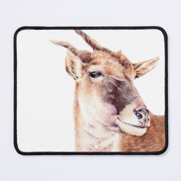 Item preview, Eland coloured pencil drawing for charity designed and sold by JayTCee.
