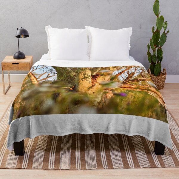 Item preview, big old eucalyptus tree designed and sold by cbrpix.