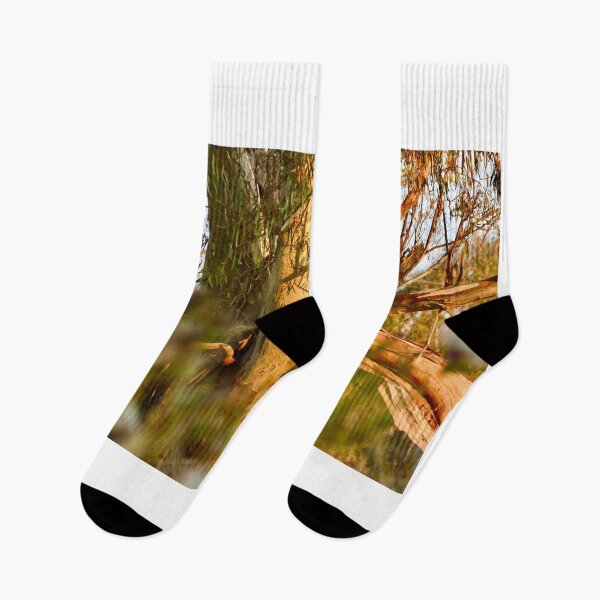 Item preview, big old eucalyptus tree designed and sold by cbrpix.