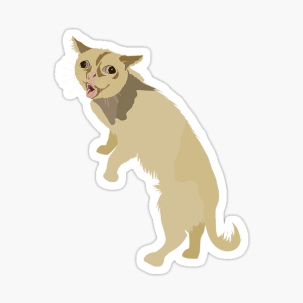 Coughing Cat Meme Sticker Vinyl Waterproof Sticker Palestine