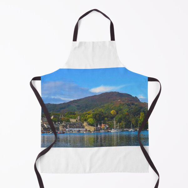 Item preview, Conwy harbour and mountain designed and sold by Ribster13.