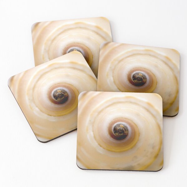Item preview, Seashell designed and sold by troianifabrizio.
