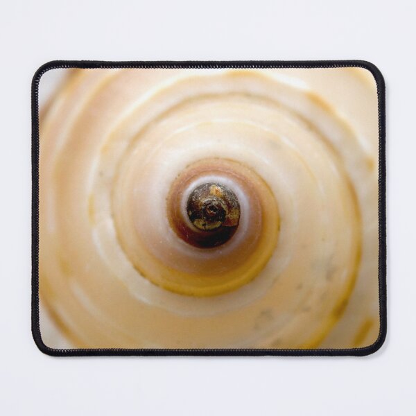 Item preview, Seashell designed and sold by troianifabrizio.