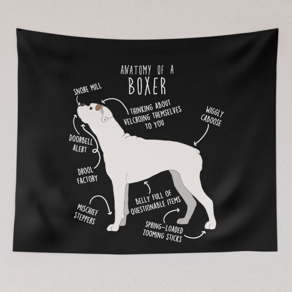 Item preview, Boxer Dog White Check Anatomy designed and sold by Clara Hollins.