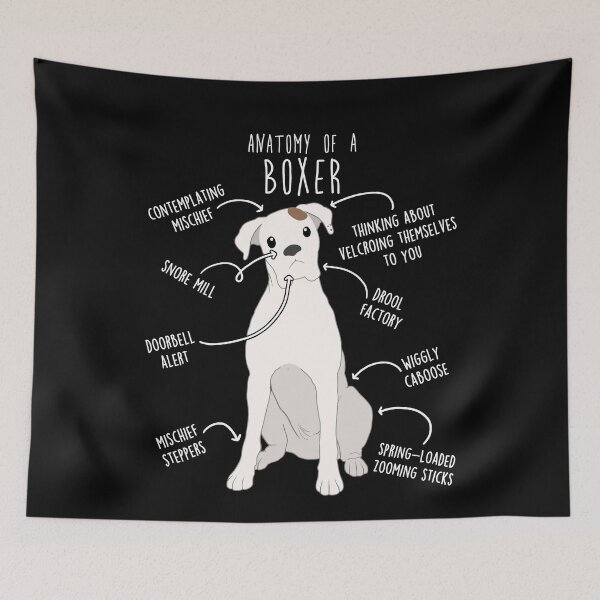 Item preview, Boxer Dog White Check Anatomy designed and sold by Clara Hollins.
