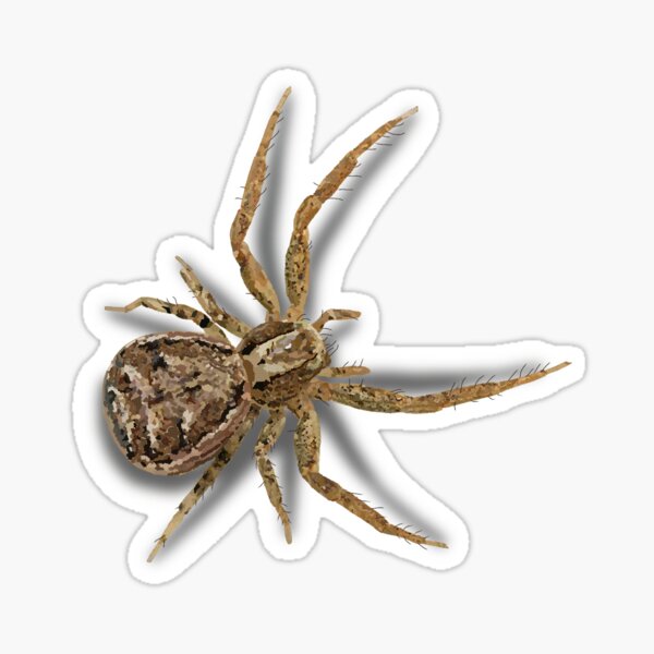 Item preview, 3D spider designed and sold by korasart.