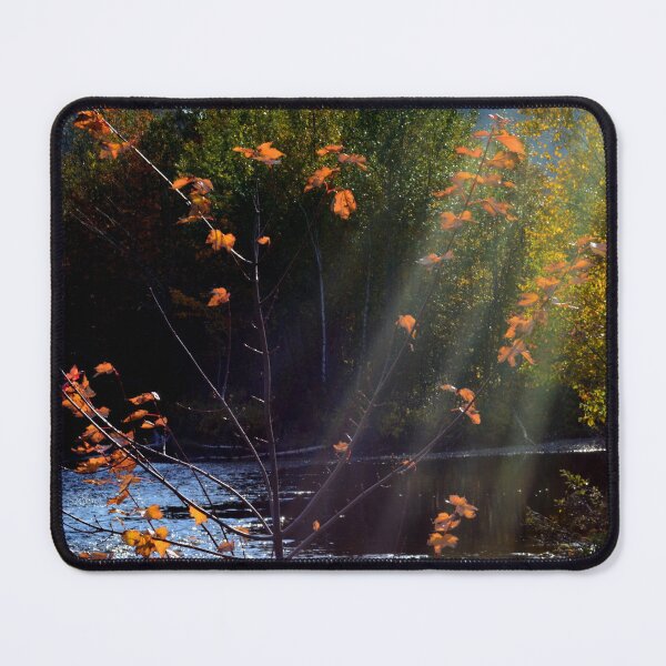 Item preview, Maple and Rays designed and sold by JakeBrownArtist.