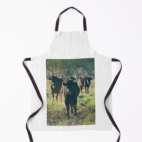 Item preview, Pack of bulls designed and sold by NorbertRicaud.