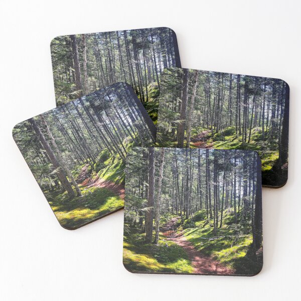 Item preview, 100 Mile Wilderness designed and sold by Jason Tompkins.