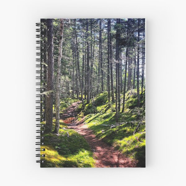 Item preview, 100 Mile Wilderness designed and sold by Jason Tompkins.