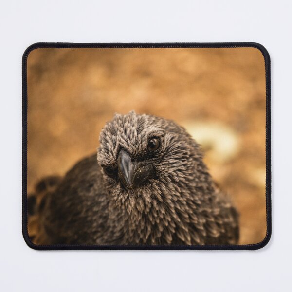 Item preview, Birdy numb numb. Birdy, numb. Numb. designed and sold by CMFMediaOz.