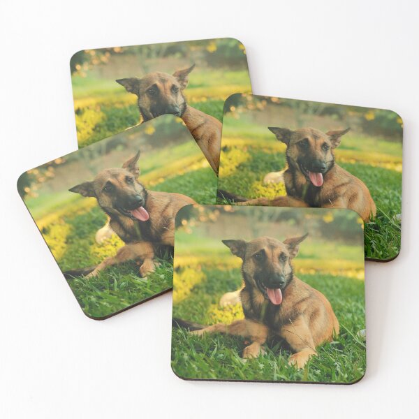 Item preview, Belgian Malinois Picture designed and sold by TheAnimalZ00.