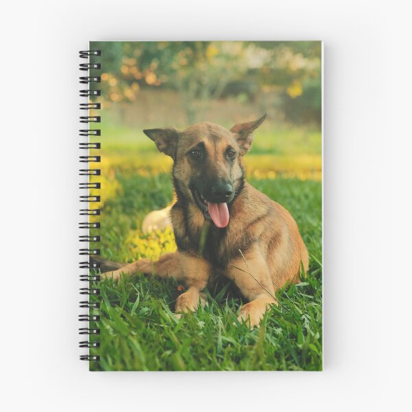 Item preview, Belgian Malinois Picture designed and sold by TheAnimalZ00.