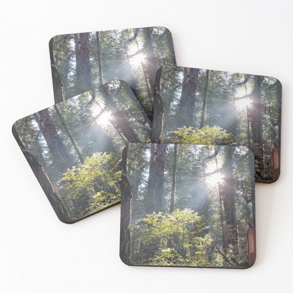 Item preview, Sunlit Forest designed and sold by Enchanting Nature Photography.