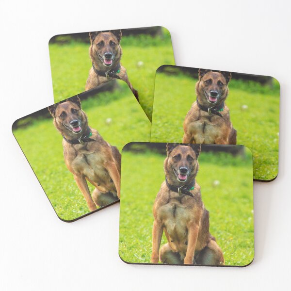 Item preview, Belgian Malinois Photo designed and sold by TheAnimalZ00.