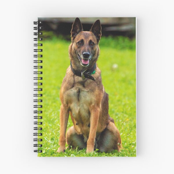 Item preview, Belgian Malinois Photo designed and sold by TheAnimalZ00.