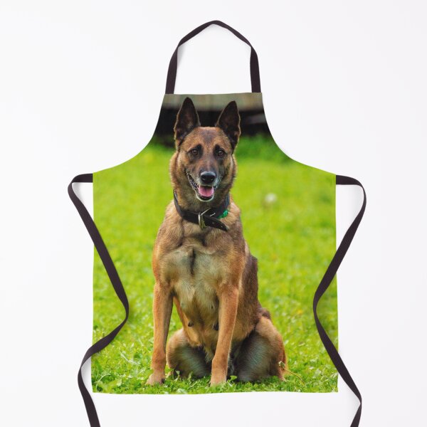 Item preview, Belgian Malinois Photo designed and sold by TheAnimalZ00.
