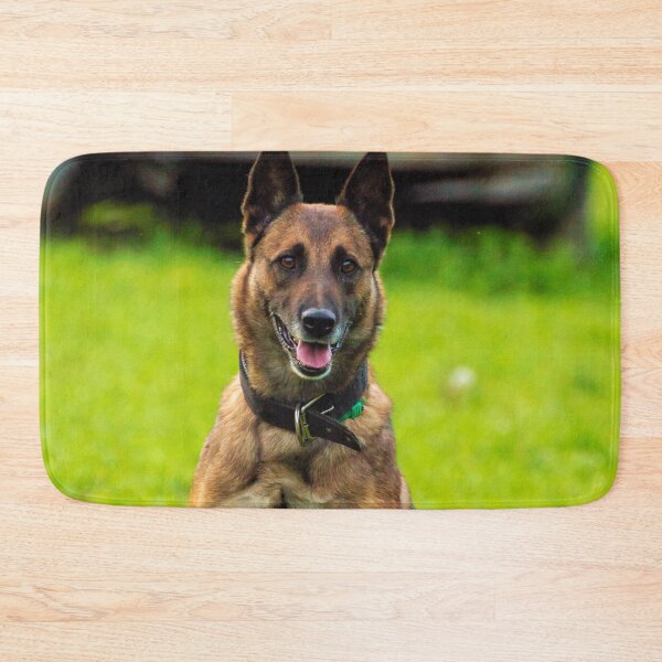 Item preview, Belgian Malinois Photo designed and sold by TheAnimalZ00.
