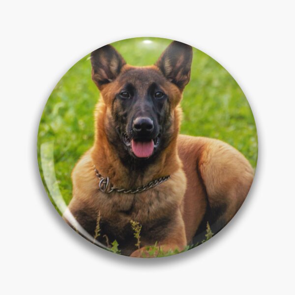 Item preview, Belgian Malinois  designed and sold by TheAnimalZ00.