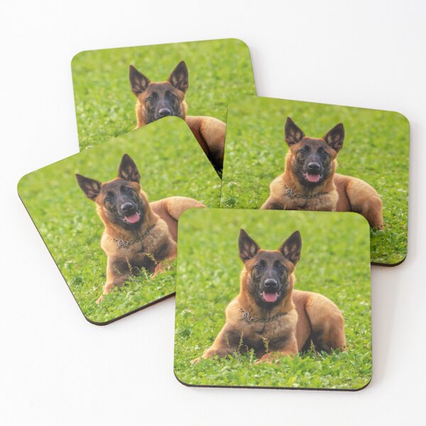 Item preview, Belgian Malinois  designed and sold by TheAnimalZ00.