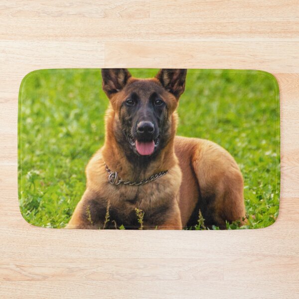 Item preview, Belgian Malinois  designed and sold by TheAnimalZ00.