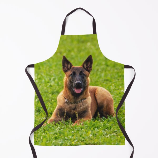 Item preview, Belgian Malinois  designed and sold by TheAnimalZ00.