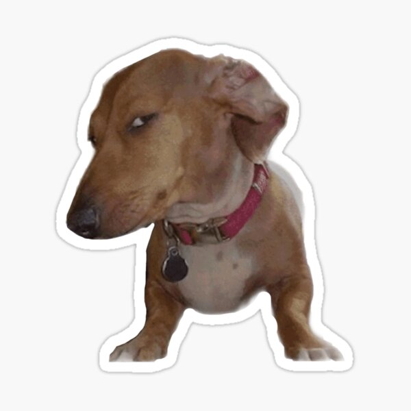 Item preview, Suspicious Dog designed and sold by Lizgzalez.