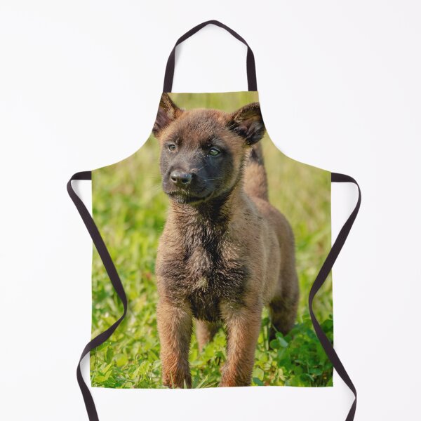 Item preview, Belgian Malinois Puppy designed and sold by TheAnimalZ00.