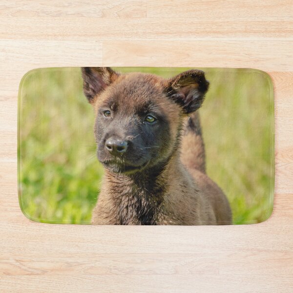 Item preview, Belgian Malinois Puppy designed and sold by TheAnimalZ00.