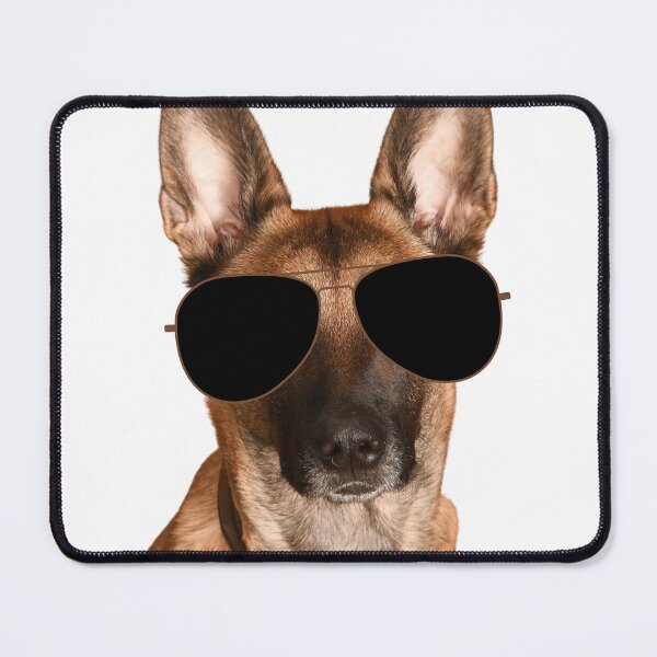 Item preview, Belgian Malinois Dog Wearing Sunglasses designed and sold by TheAnimalZ00.