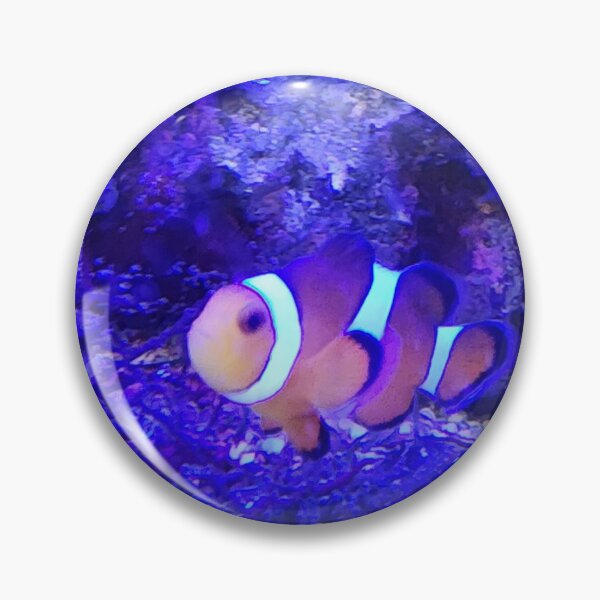 Item preview, Clown fish designed and sold by Kristy97.